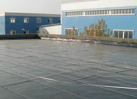 赛伍应用技术有限公司厂房 屋面维修工程